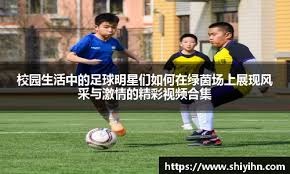 足协杯-法比奥戴帽 国安3-0河南夺冠获亚冠资格