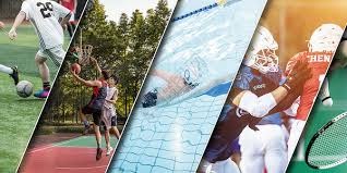 解析旧金山巨人的主场优势麦考维湾的独特气候条件